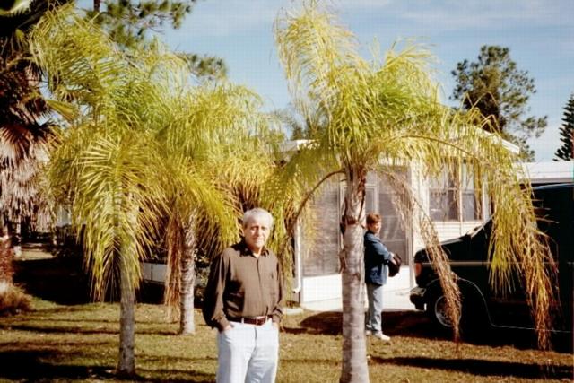 28-thirsty_palms.jpg